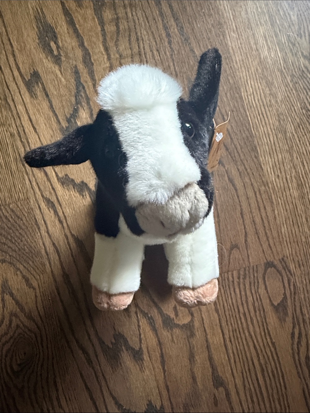 Plush Cow Stuffed Animal - Picture 2 of 4